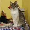 Отзыв от Софья Плотникова